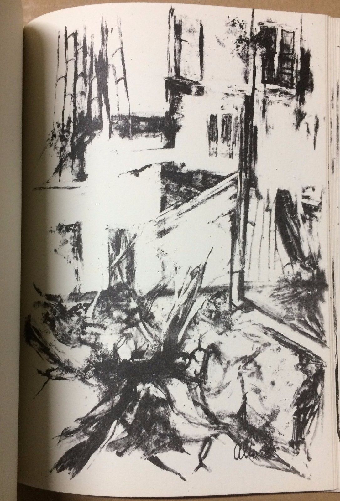 Arte Moderna, Puglia, Bari, Alto, Bella Monografia Illustrata, Macerata, Con Tavole immagine 3