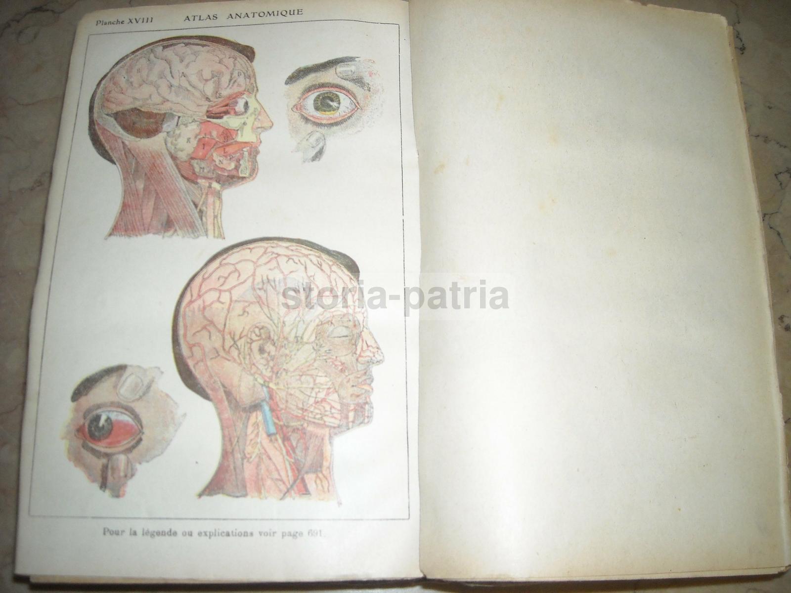 Medicina Vegetale, Farmacia, Terapie, Storia Naturale, Erboristeria, Botanica, Igiene immagine 2