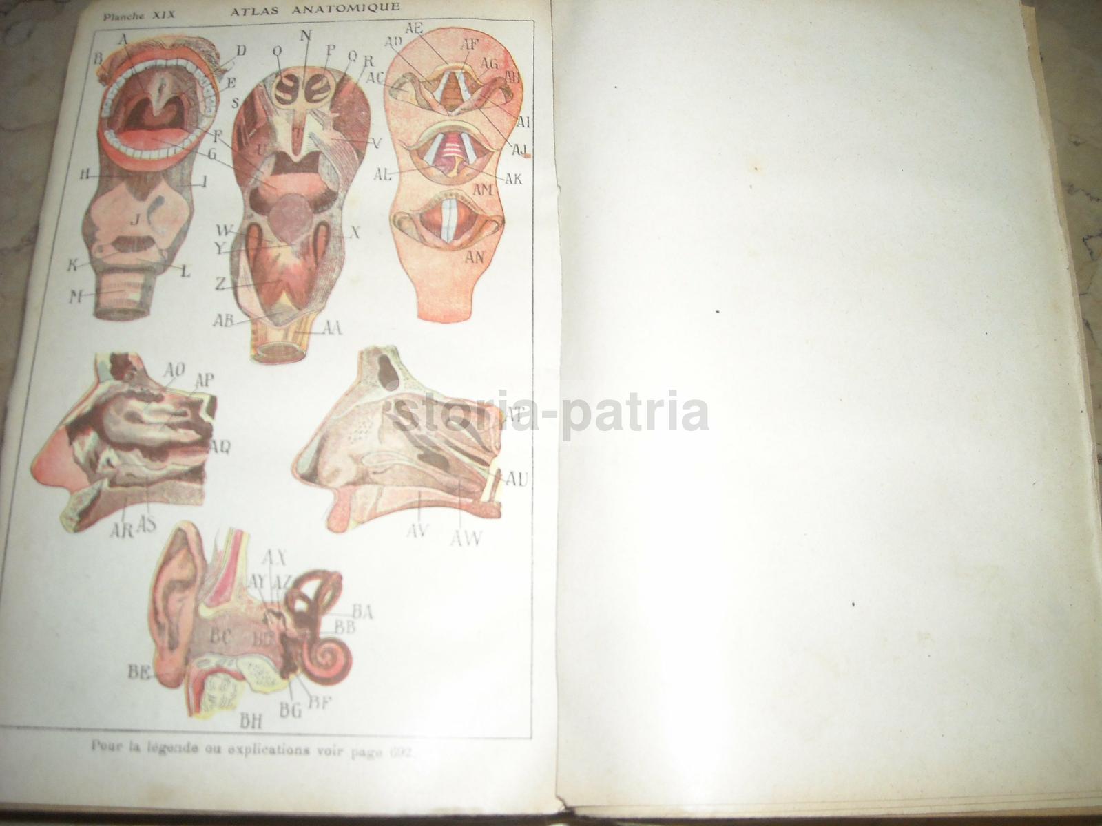 Medicina Vegetale, Farmacia, Terapie, Storia Naturale, Erboristeria, Botanica, Igiene immagine 3