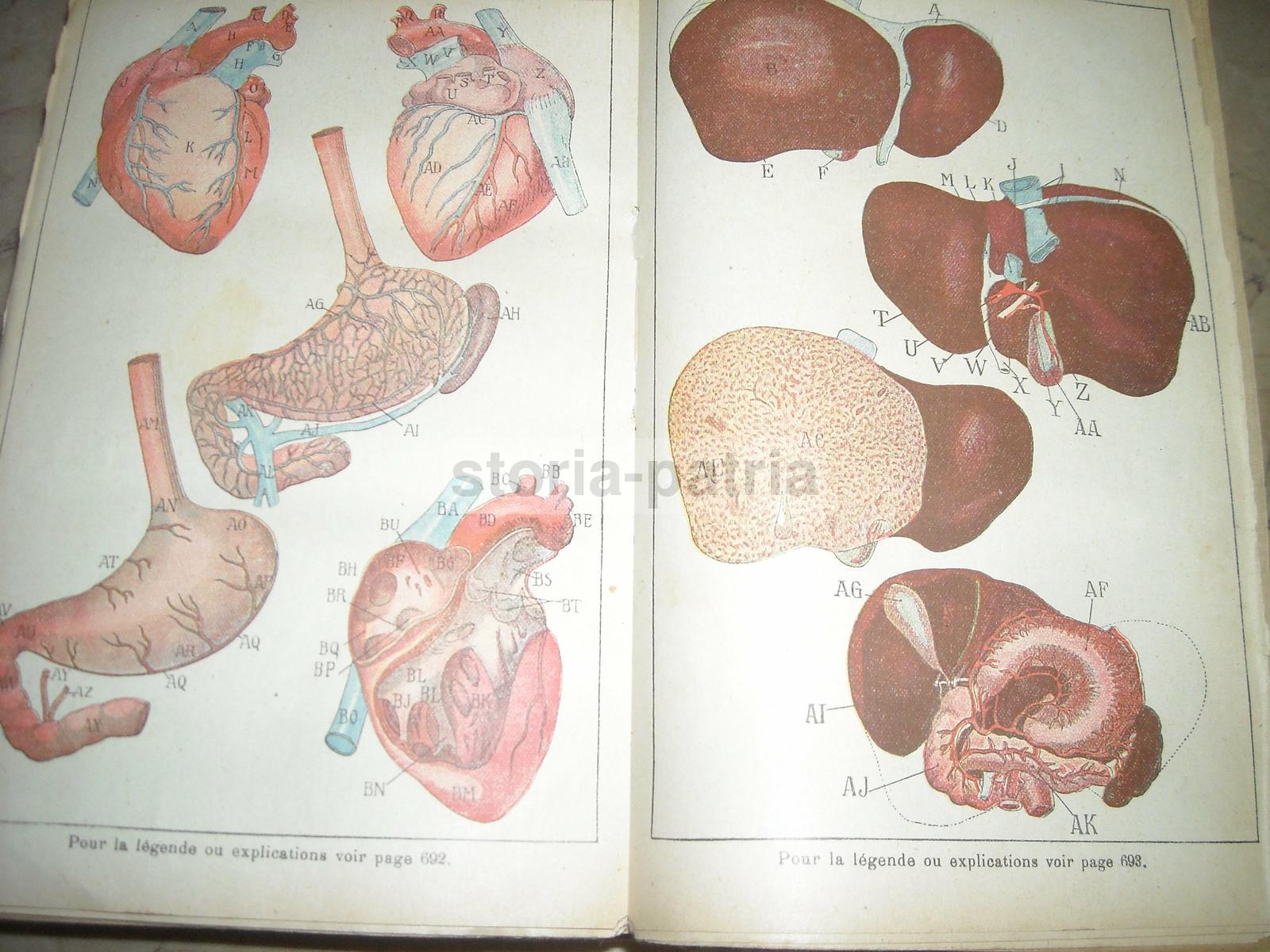 Medicina Vegetale, Farmacia, Terapie, Storia Naturale, Erboristeria, Botanica, Igiene immagine 4