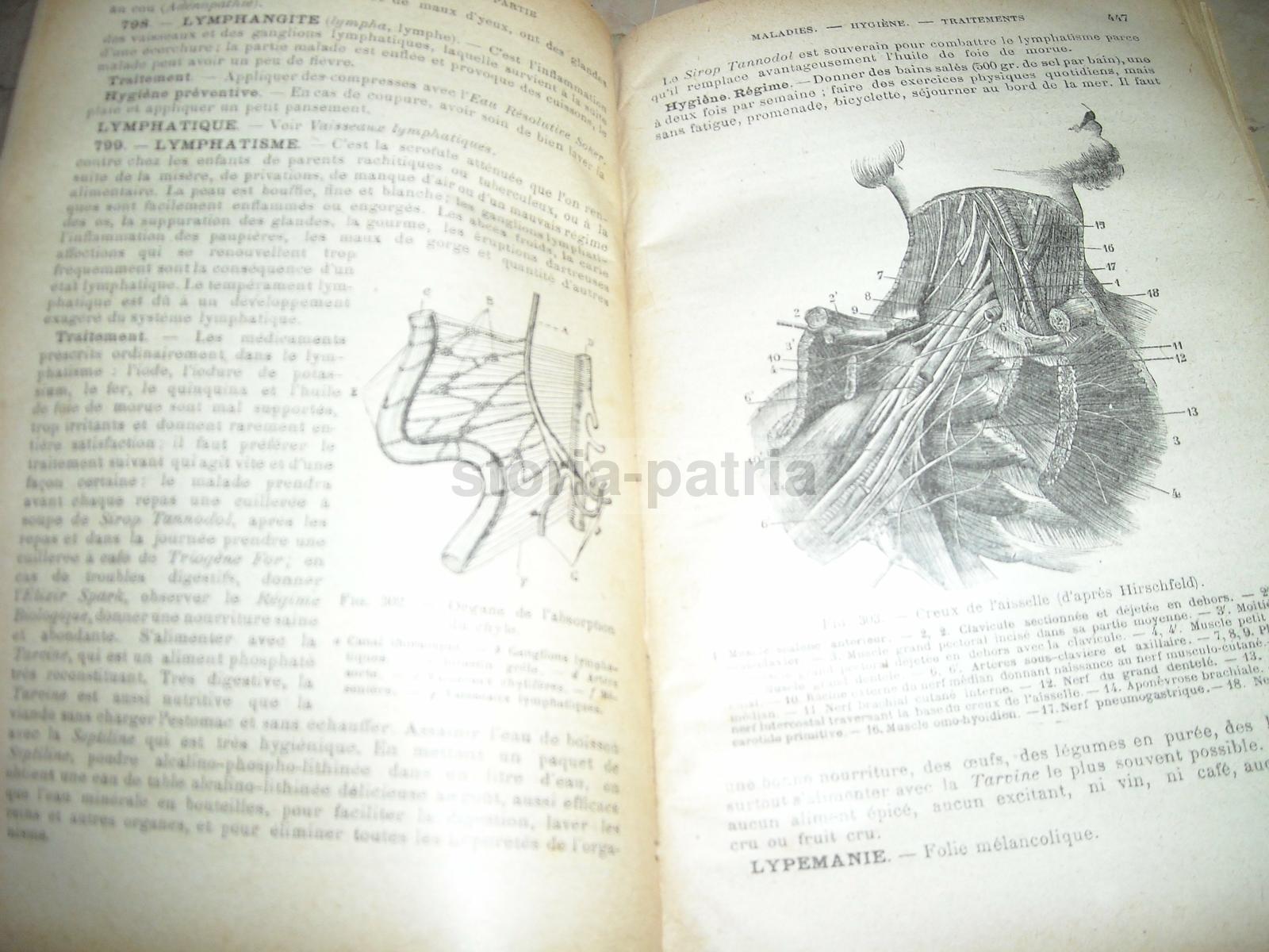 Medicina Vegetale, Farmacia, Terapie, Storia Naturale, Erboristeria, Botanica, Igiene immagine 7