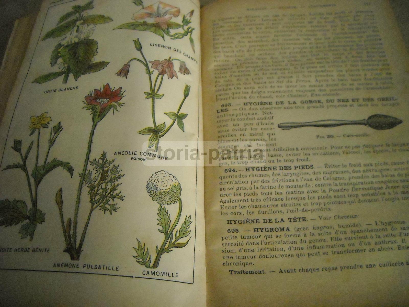 Medicina Vegetale, Farmacia, Terapie, Storia Naturale, Erboristeria, Botanica, Igiene immagine 8