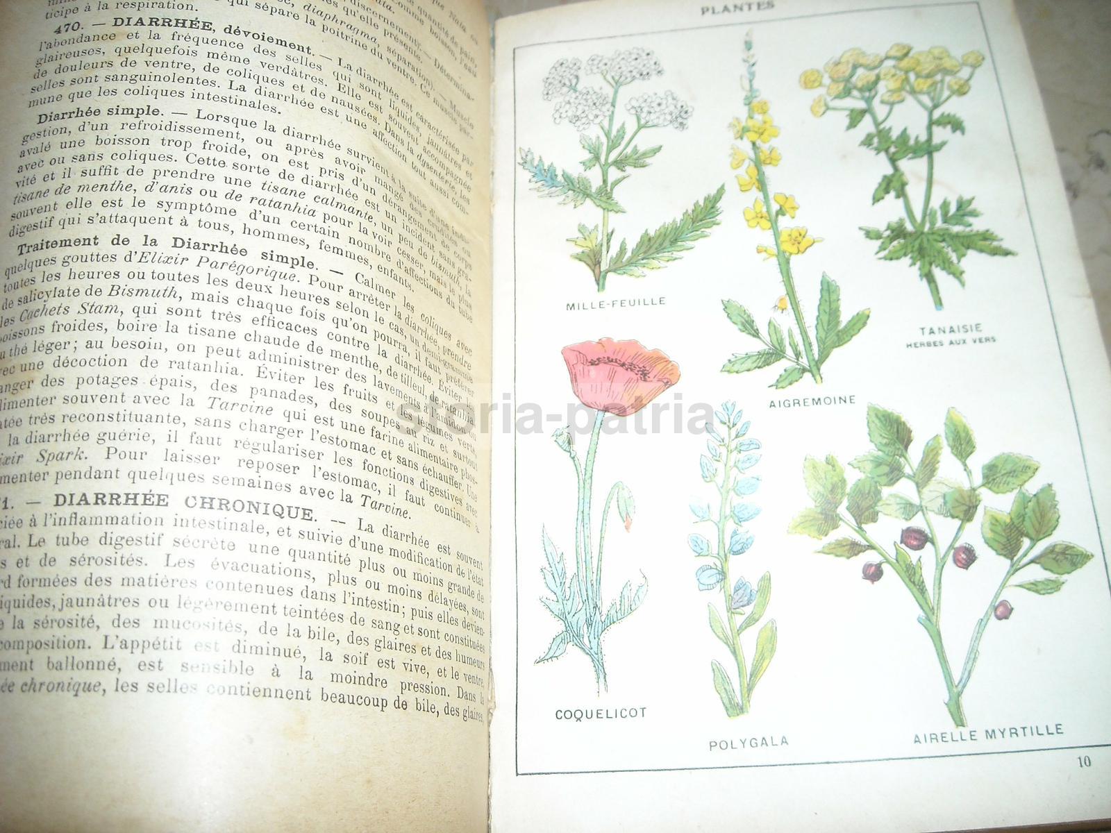 Medicina Vegetale, Farmacia, Terapie, Storia Naturale, Erboristeria, Botanica, Igiene immagine 13