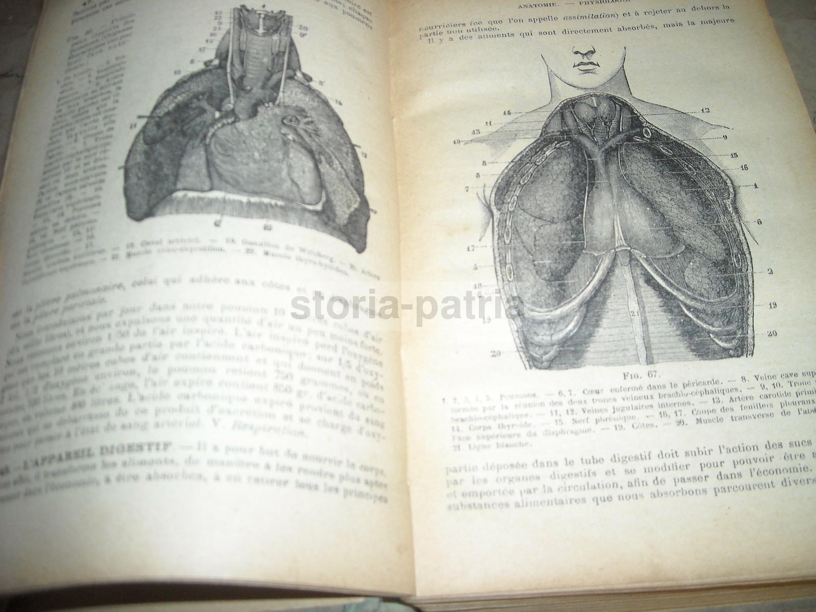 Medicina Vegetale, Farmacia, Terapie, Storia Naturale, Erboristeria, Botanica, Igiene immagine 16