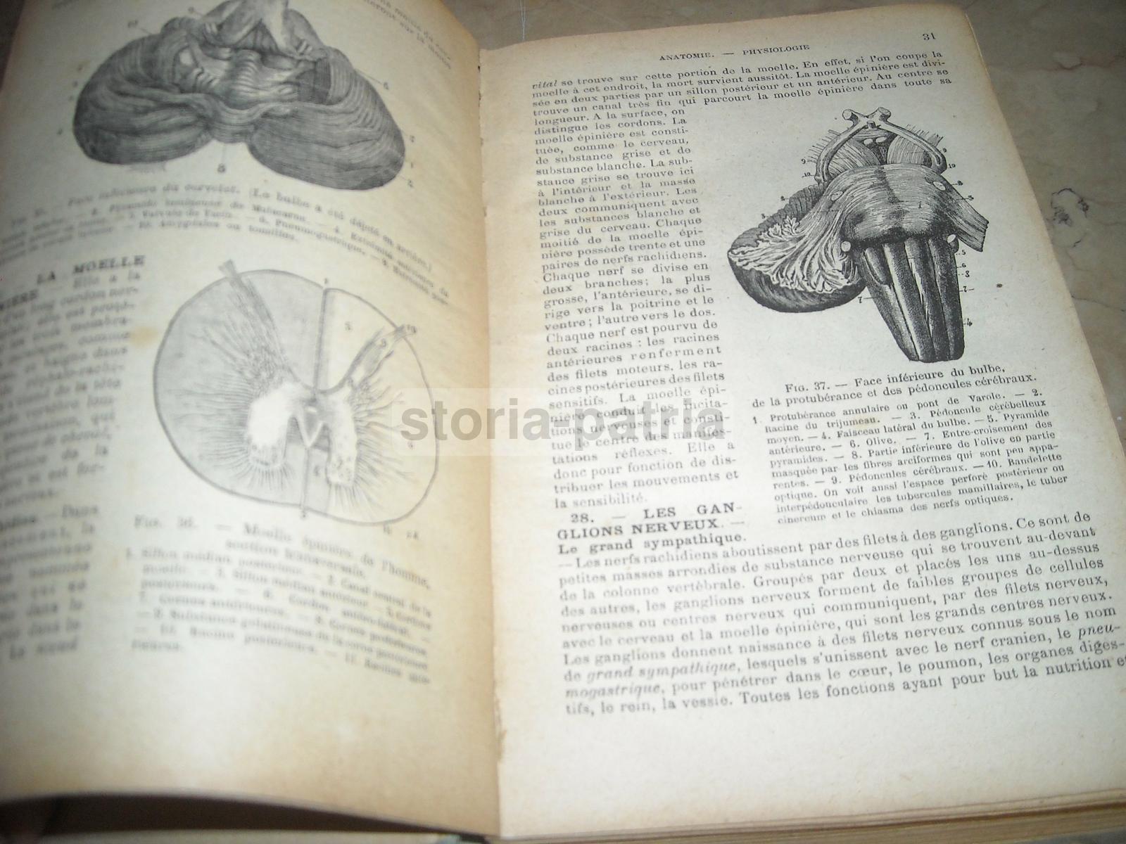 Medicina Vegetale, Farmacia, Terapie, Storia Naturale, Erboristeria, Botanica, Igiene immagine 17