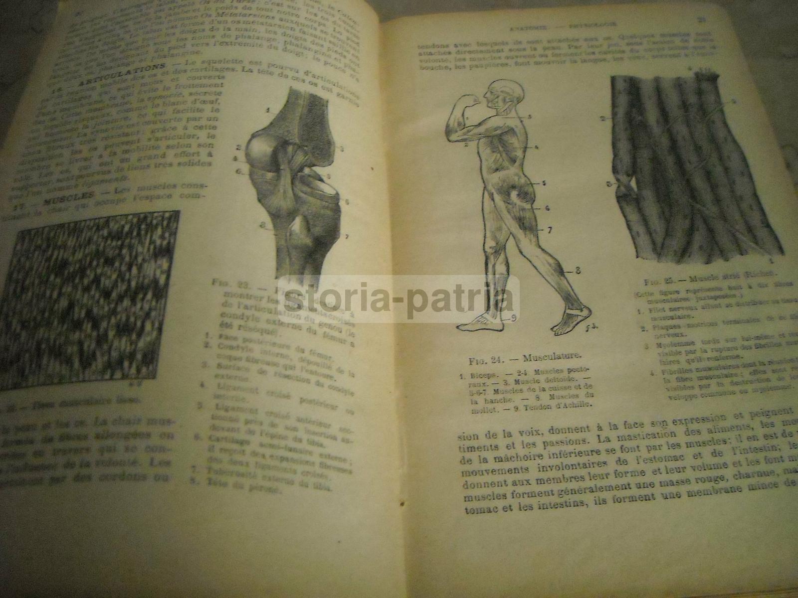 Medicina Vegetale, Farmacia, Terapie, Storia Naturale, Erboristeria, Botanica, Igiene immagine 18