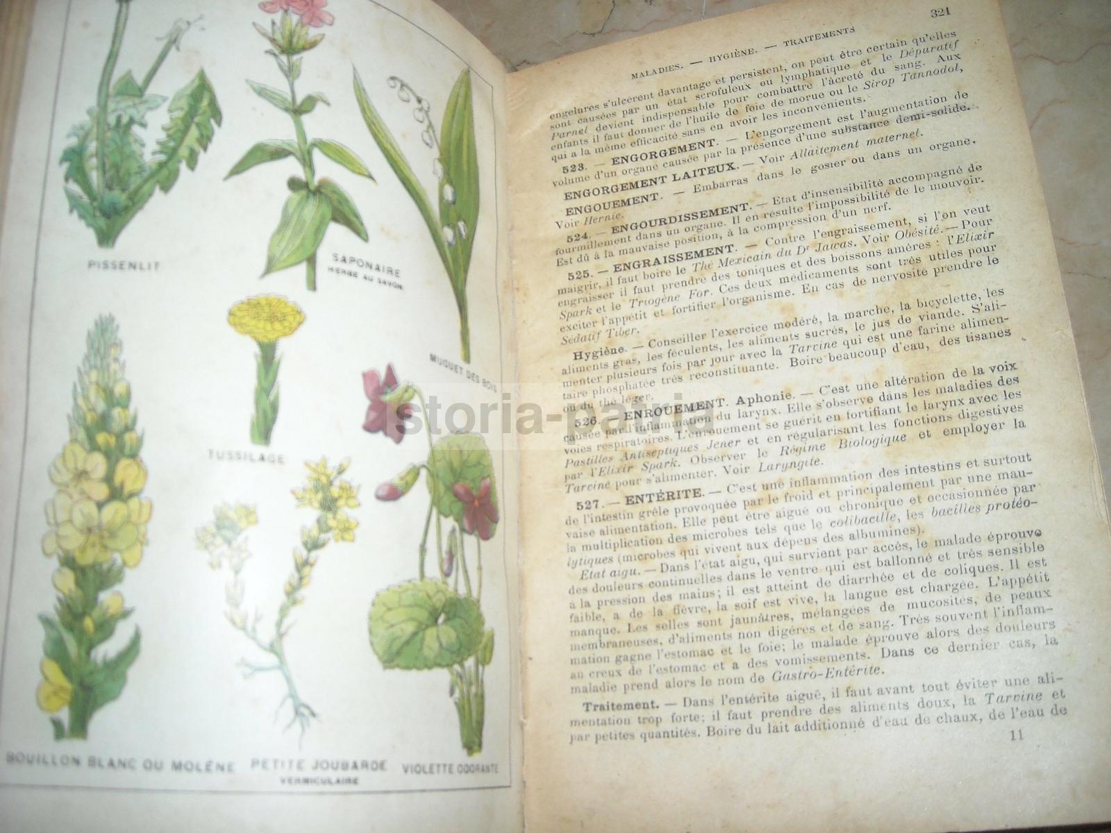 Medicina Vegetale, Farmacia, Terapie, Storia Naturale, Erboristeria, Botanica, Igiene immagine 23